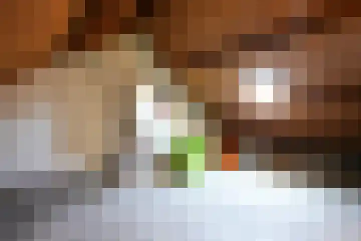 Norbertijnenstraat 20 Geleen thumbnail 28
