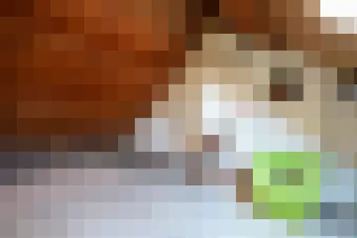 Norbertijnenstraat 20 Geleen thumbnail 29