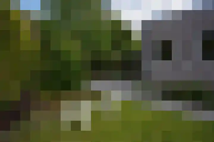 Norbertijnenstraat 20 Geleen thumbnail 37