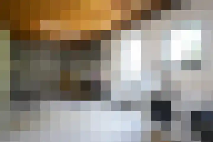 Norbertijnenstraat 20 Geleen thumbnail 41