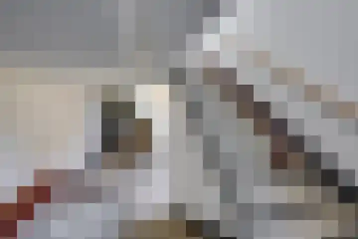 Norbertijnerpoort 2 Tilburg thumbnail 10