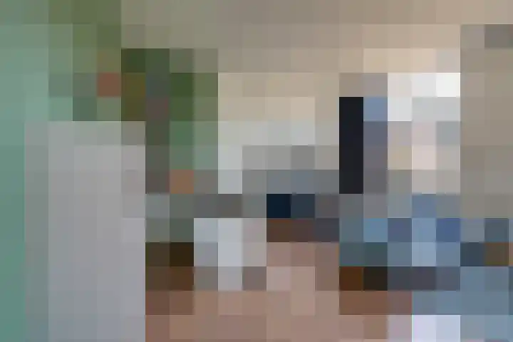 Norbertijnerpoort 2 Tilburg thumbnail 16