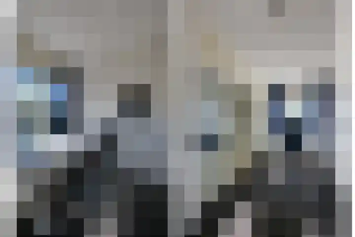 Norbertijnerpoort 2 Tilburg thumbnail 23