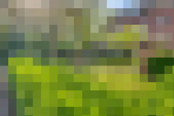 Norbertijnerpoort 2 Tilburg thumbnail 31