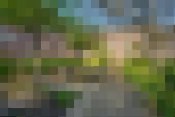 Norbertijnerpoort 2 Tilburg thumbnail 5