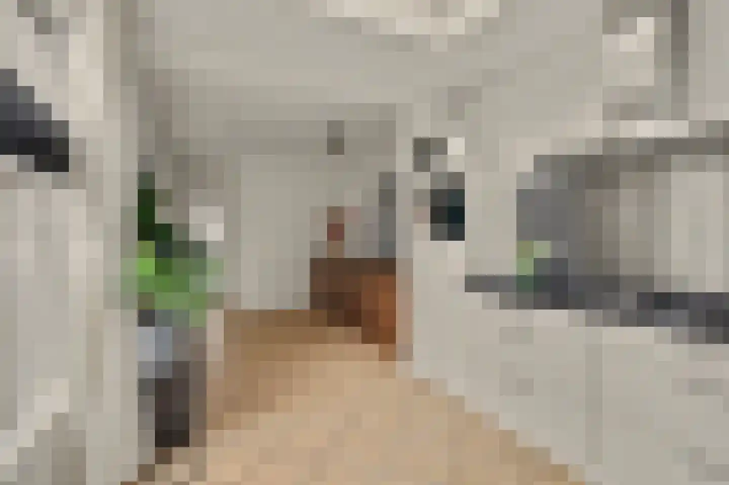 Norbertijnerstraat 25 Elshout thumbnail 11