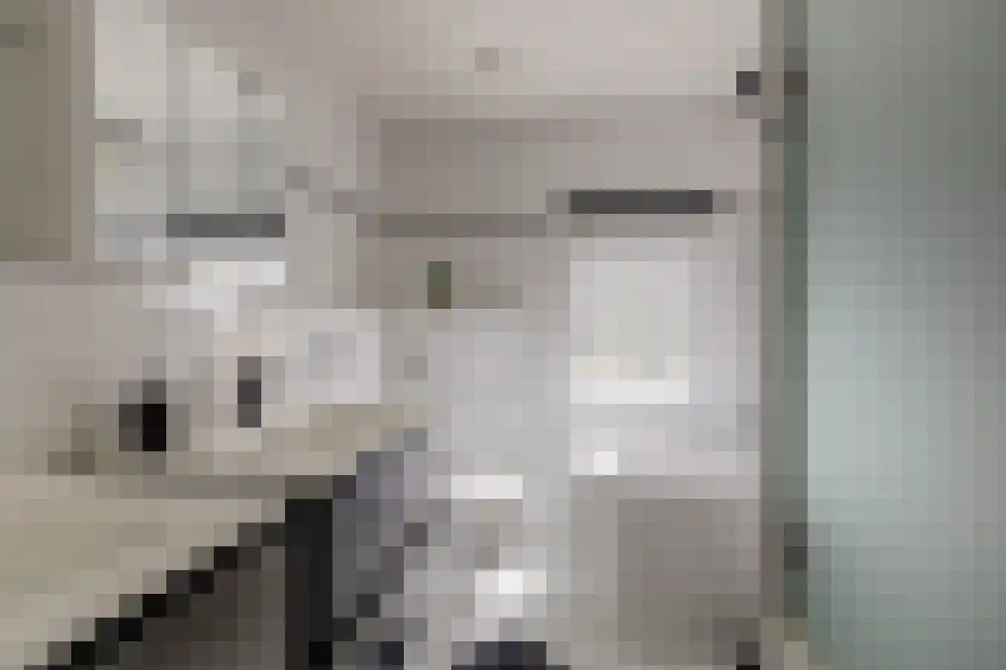 Norbertijnerstraat 25 Elshout thumbnail 18