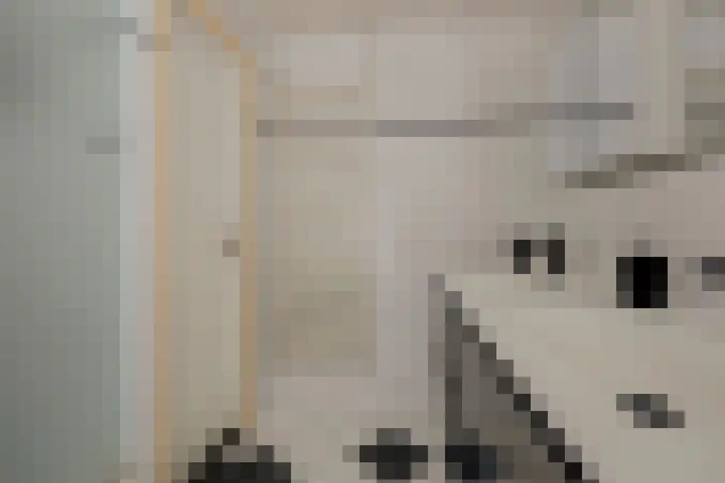 Norbertijnerstraat 25 Elshout thumbnail 21
