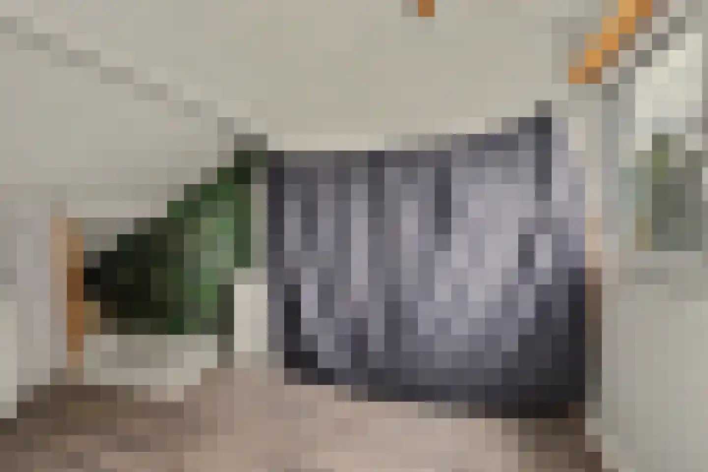 Norbertijnerstraat 25 Elshout thumbnail 29