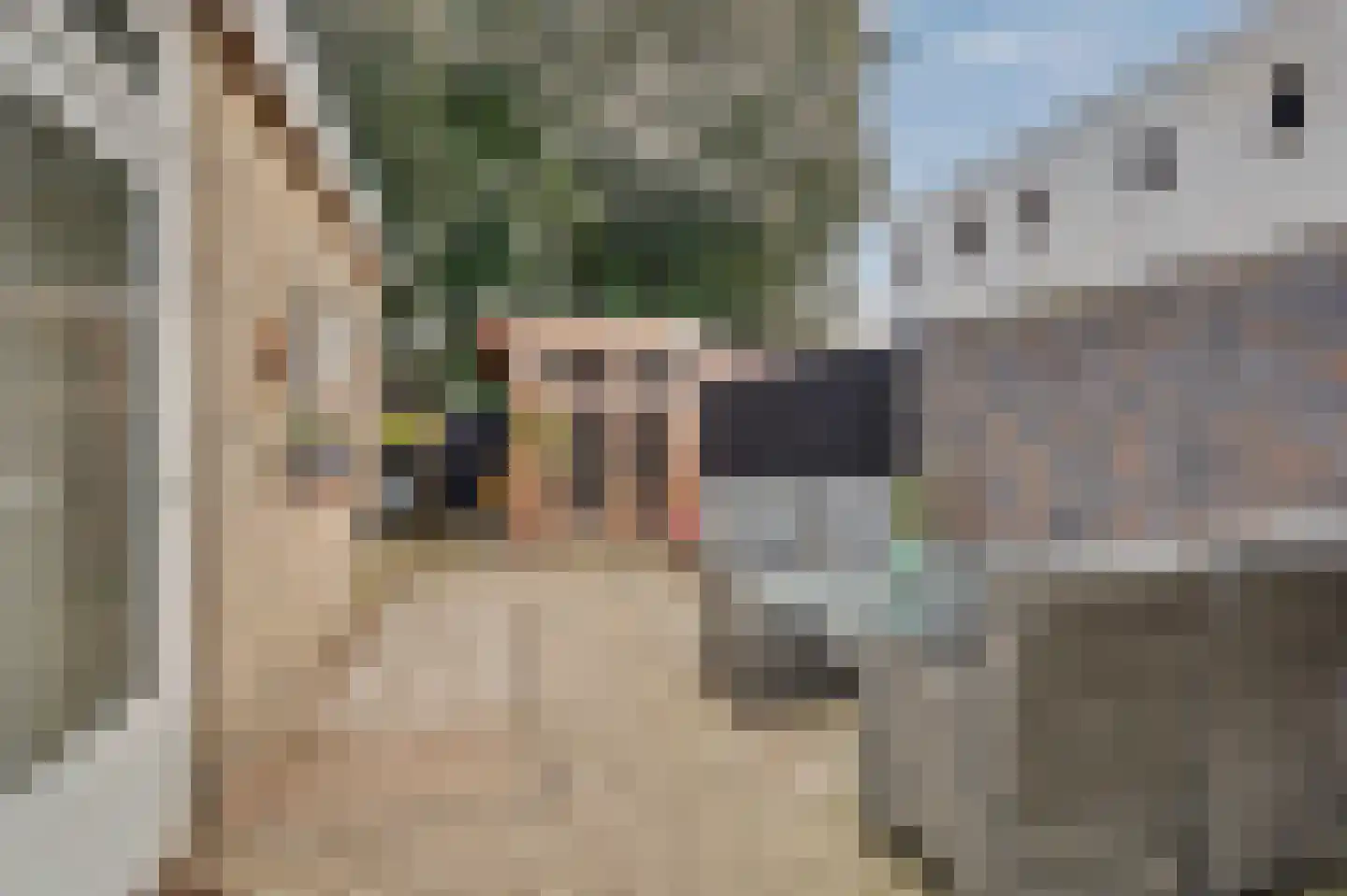 Norbertijnerstraat 25 Elshout thumbnail 32