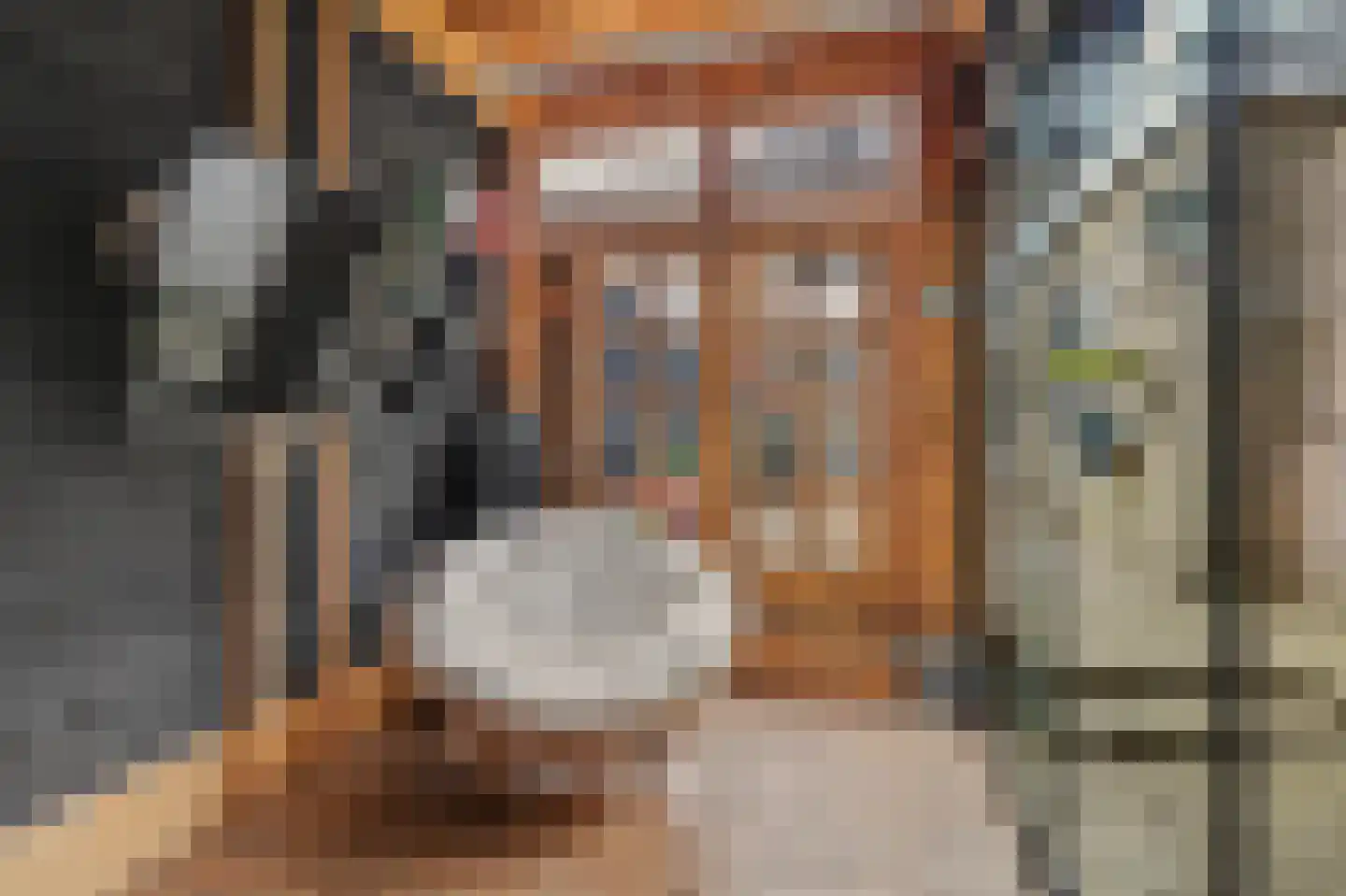 Norbertijnerstraat 25 Elshout thumbnail 37