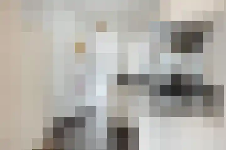Norbertijnerstraat 37 Elshout thumbnail 10