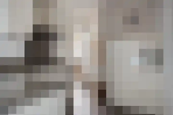 Norbertijnerstraat 37 Elshout thumbnail 13