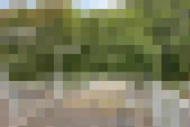 Norbertijnerstraat 37 Elshout thumbnail 31