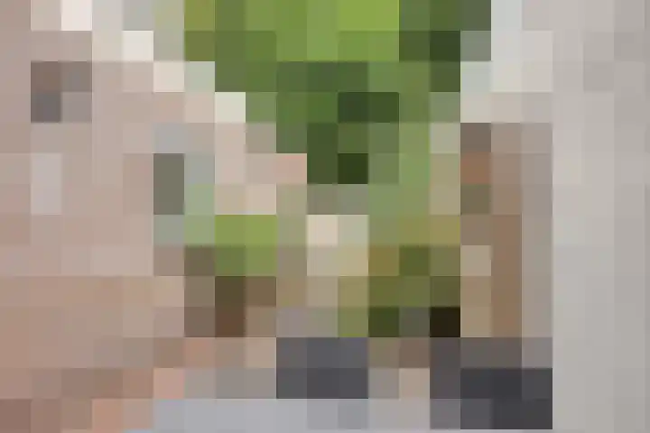 Norbertijnerstraat 37 Elshout thumbnail 4