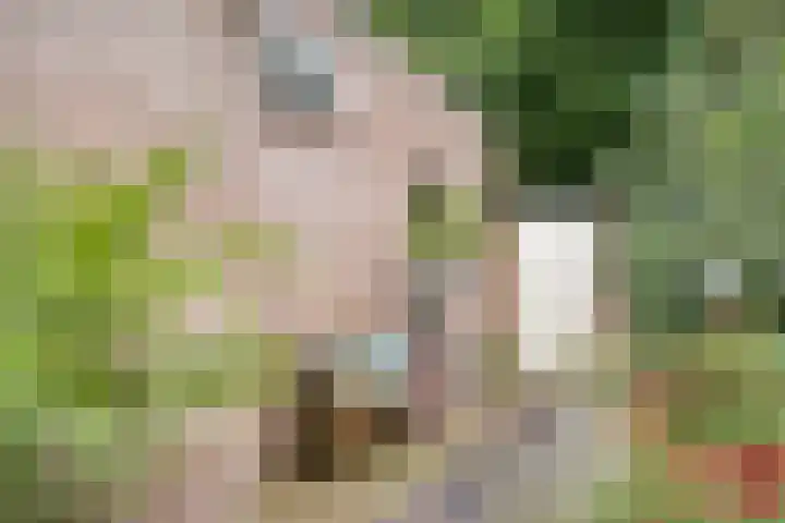 Norbertijnerstraat 37 Elshout thumbnail 41