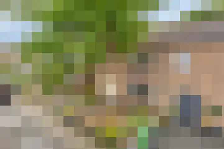 Norbertijnerstraat 37 Elshout thumbnail 5