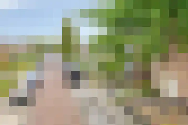 Norbertijnerstraat 37 Elshout thumbnail 50