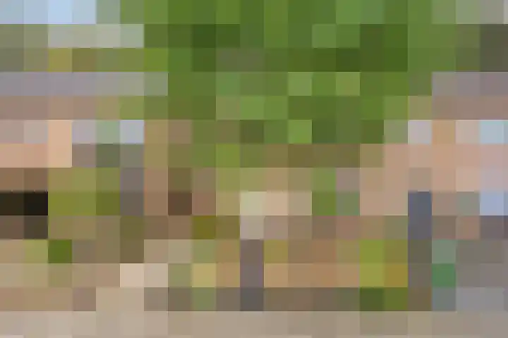 Norbertijnerstraat 37 Elshout thumbnail 6