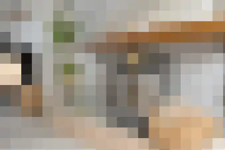 Norbertijnerstraat 41 Elshout thumbnail 13