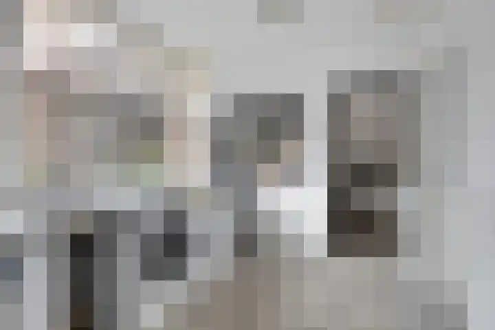 Norbertijnerstraat 41 Elshout thumbnail 18
