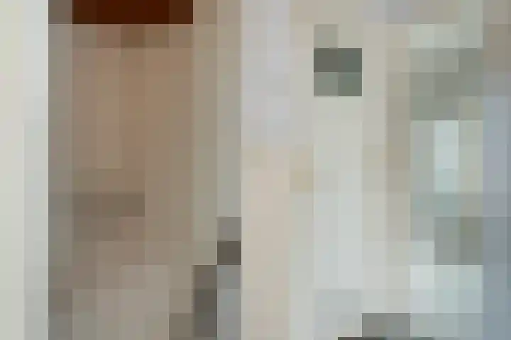 Norbertijnerstraat 41 Elshout thumbnail 20