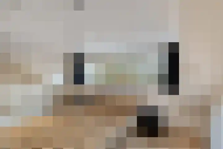 Norbertijnerstraat 41 Elshout thumbnail 30