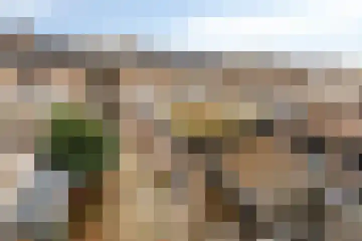 Norbertijnerstraat 41 Elshout thumbnail 31