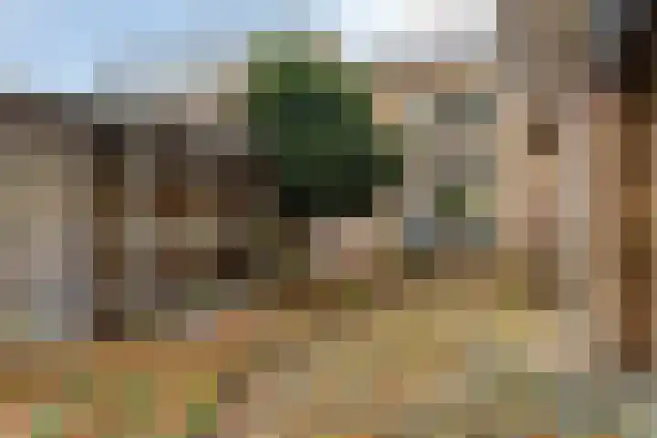Norbertijnerstraat 41 Elshout thumbnail 4