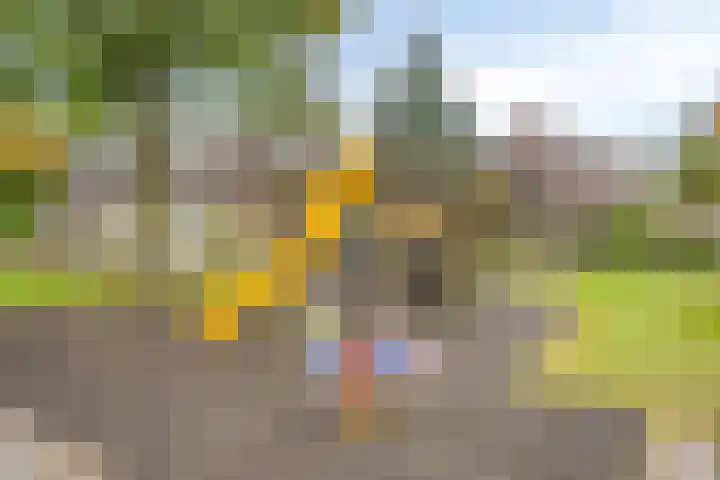 Norbertijnerstraat 41 Elshout thumbnail 41