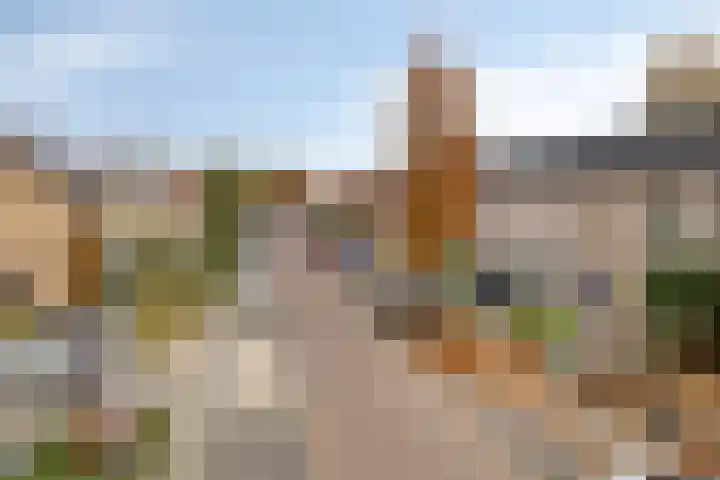 Norbertijnerstraat 41 Elshout thumbnail 5