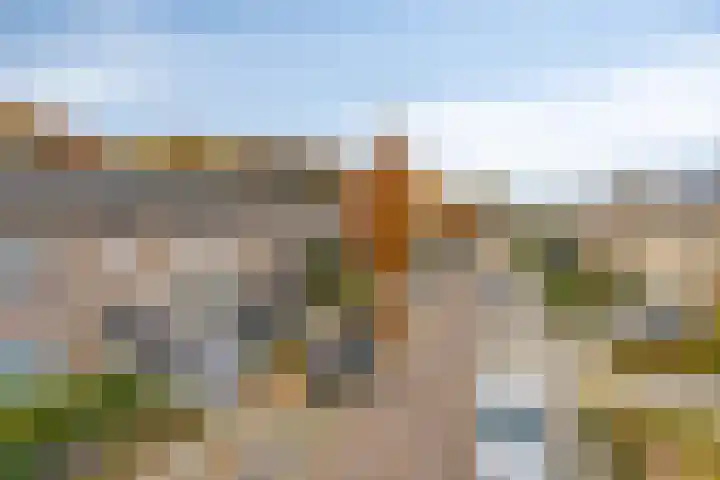 Norbertijnerstraat 41 Elshout thumbnail 6