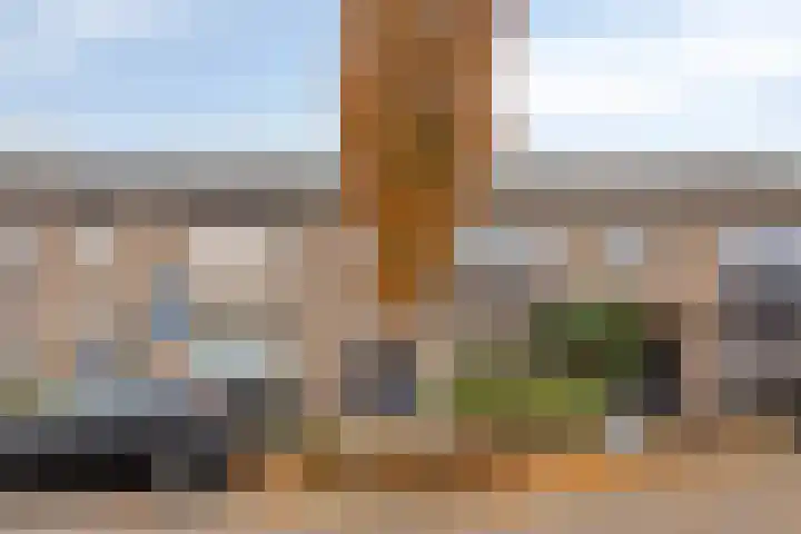 Norbertijnerstraat 41 Elshout thumbnail 7