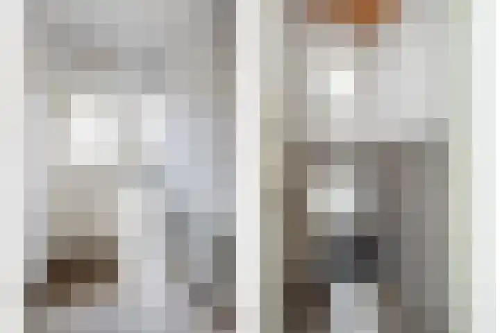 Norbertijnerstraat 41 Elshout thumbnail 8