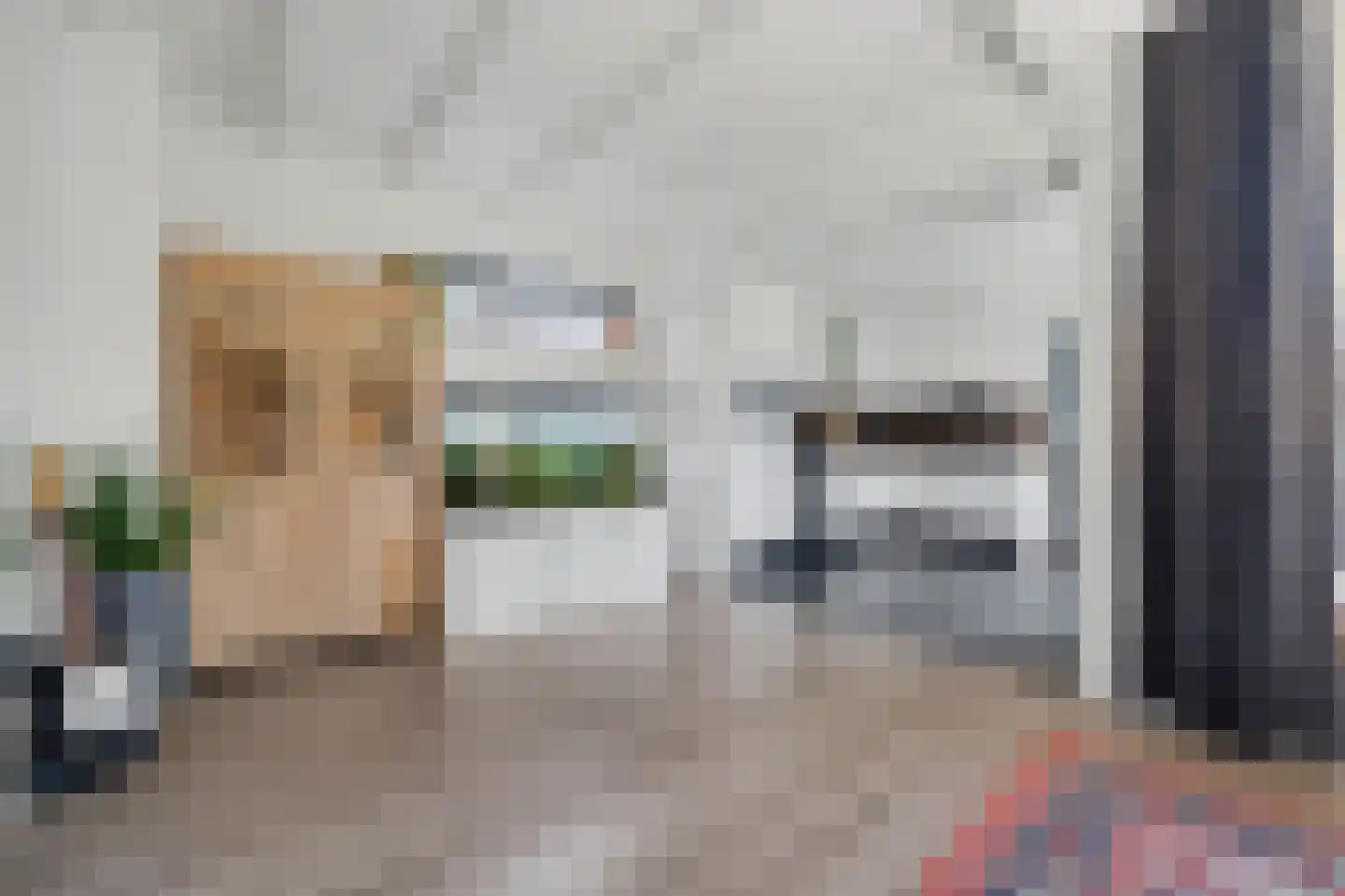 Norbertijnerstraat 53 Elshout thumbnail 10