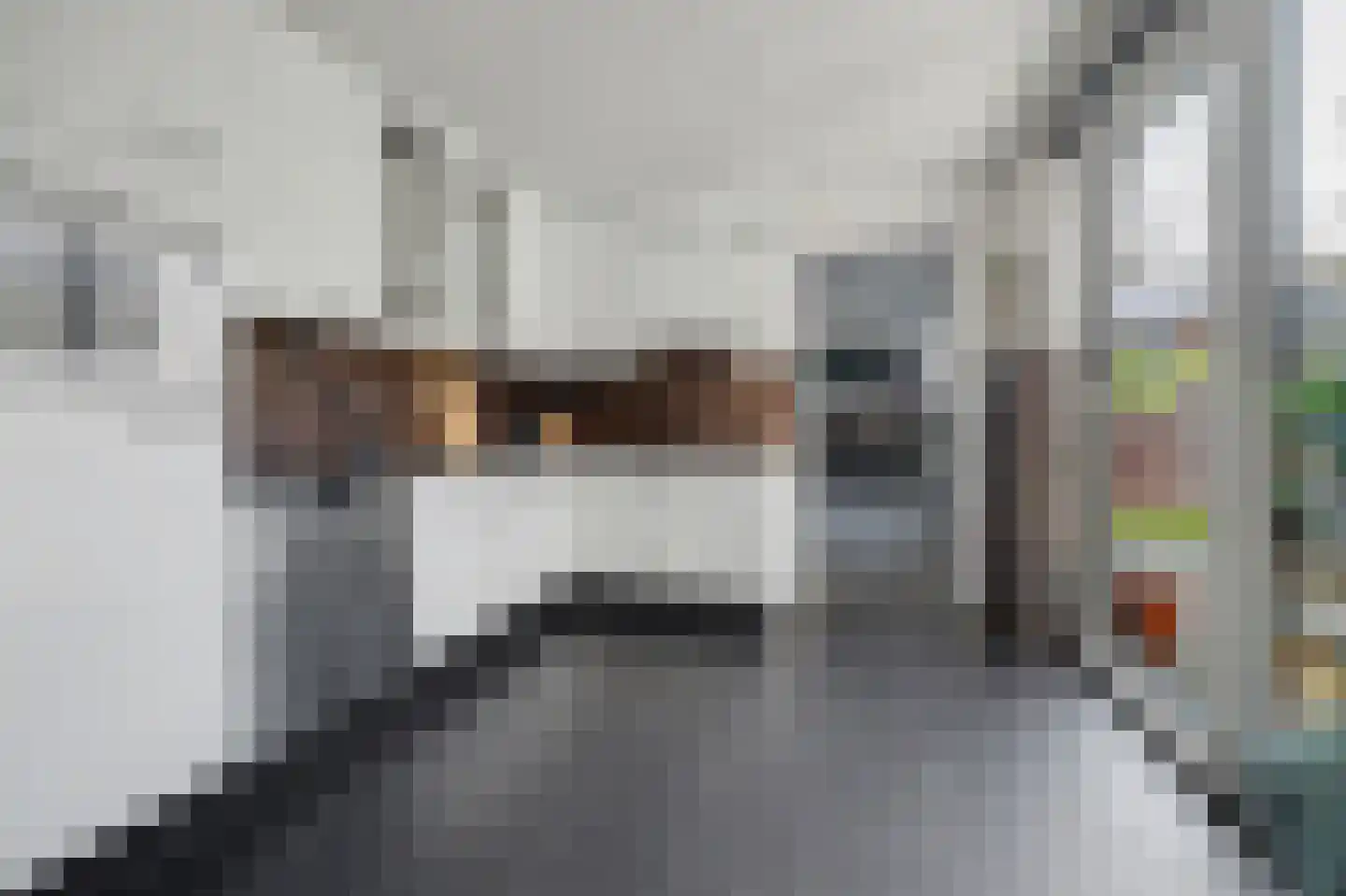 Norbertijnerstraat 53 Elshout thumbnail 12