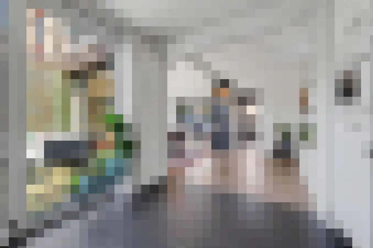 Norbertijnerstraat 53 Elshout thumbnail 14