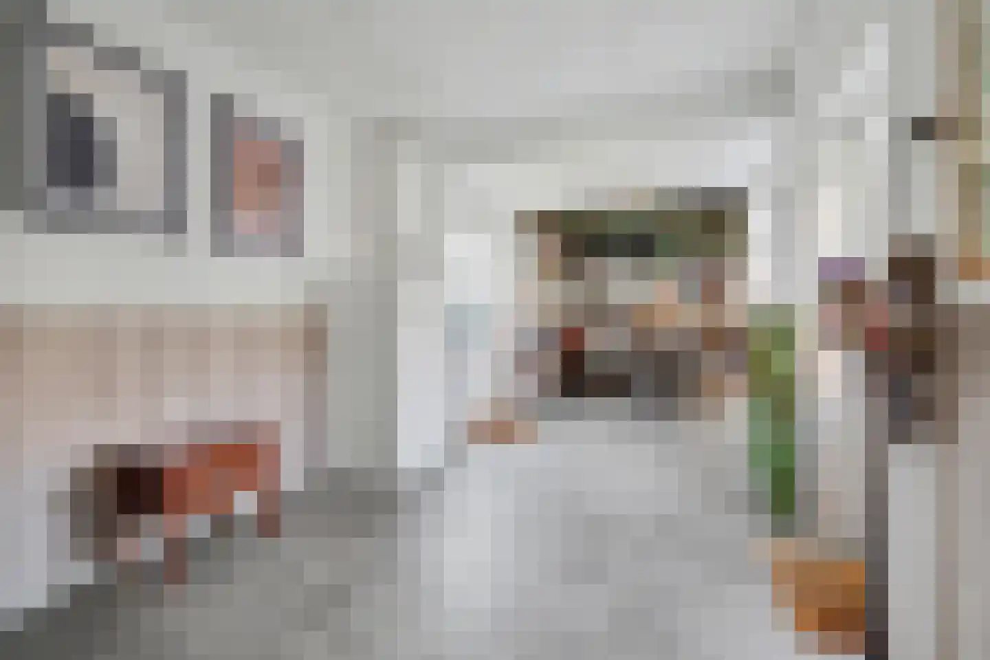 Norbertijnerstraat 53 Elshout thumbnail 16