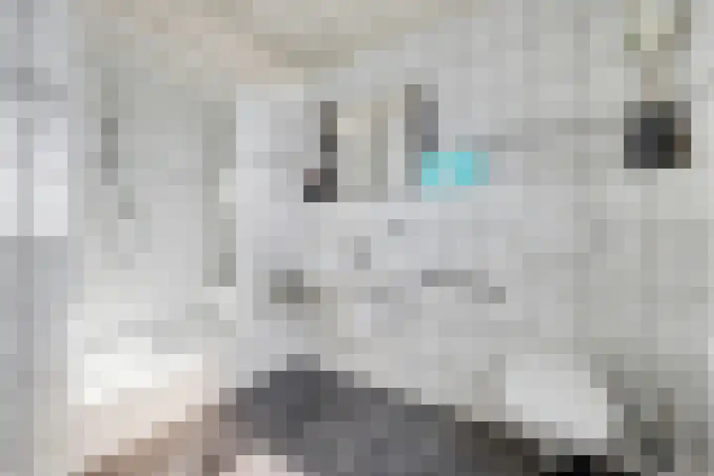 Norbertijnerstraat 53 Elshout thumbnail 31