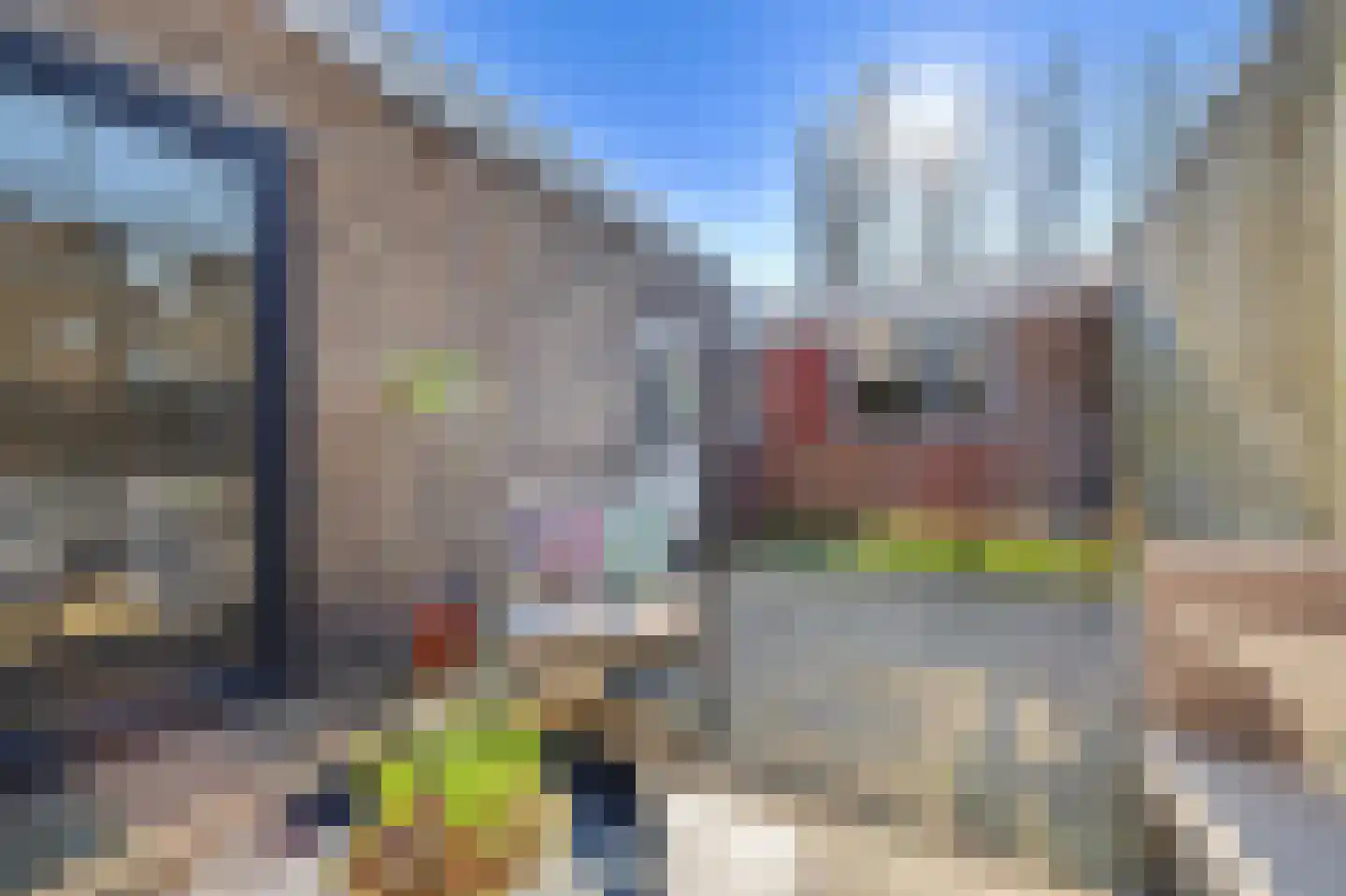 Norbertijnerstraat 53 Elshout thumbnail 39