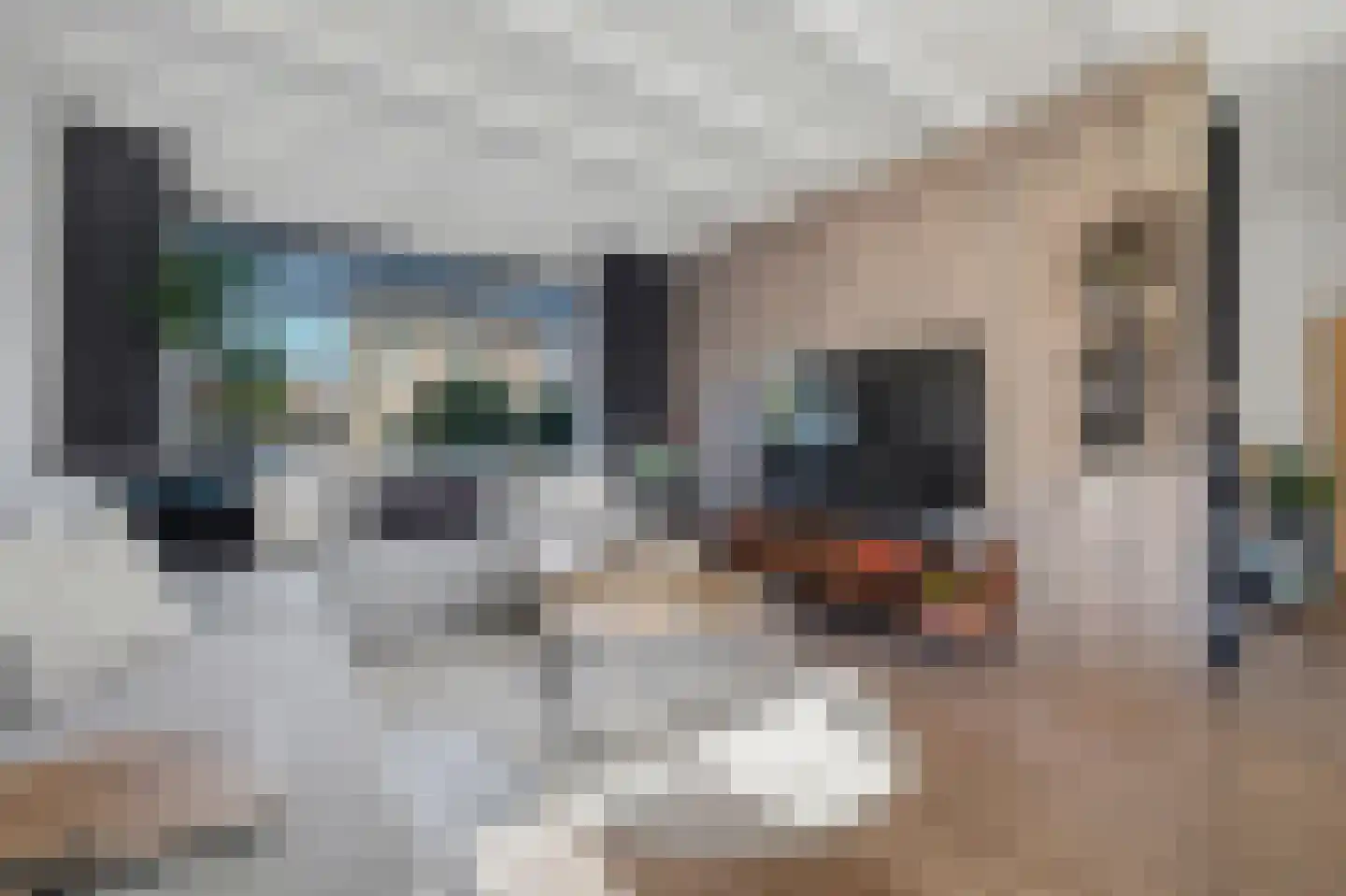 Norbertijnerstraat 53 Elshout thumbnail 6