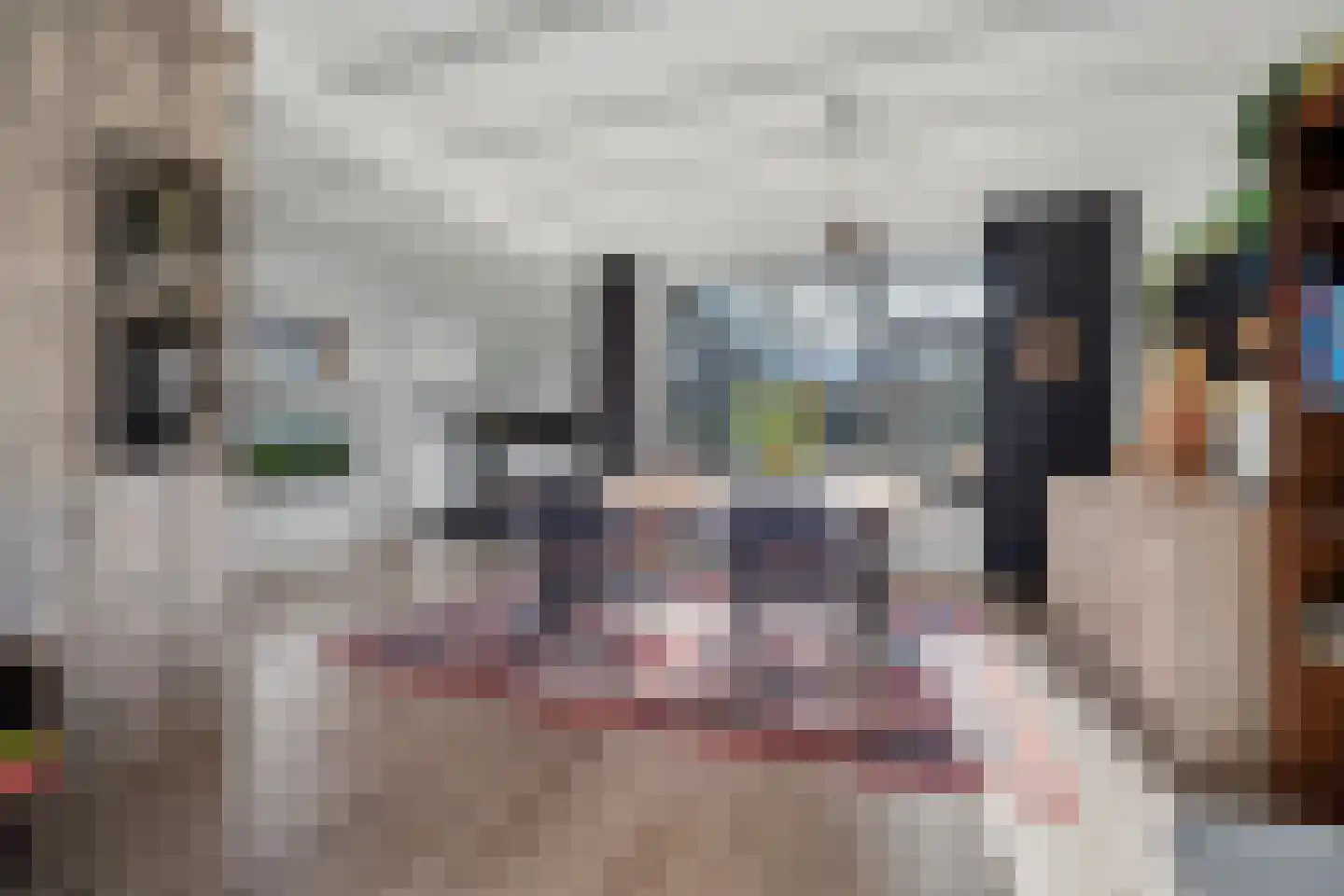 Norbertijnerstraat 53 Elshout thumbnail 8