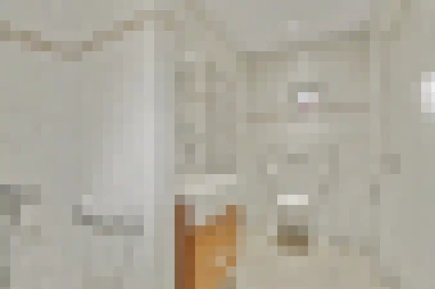 Norbertijnerstraat 69 Elshout thumbnail 11