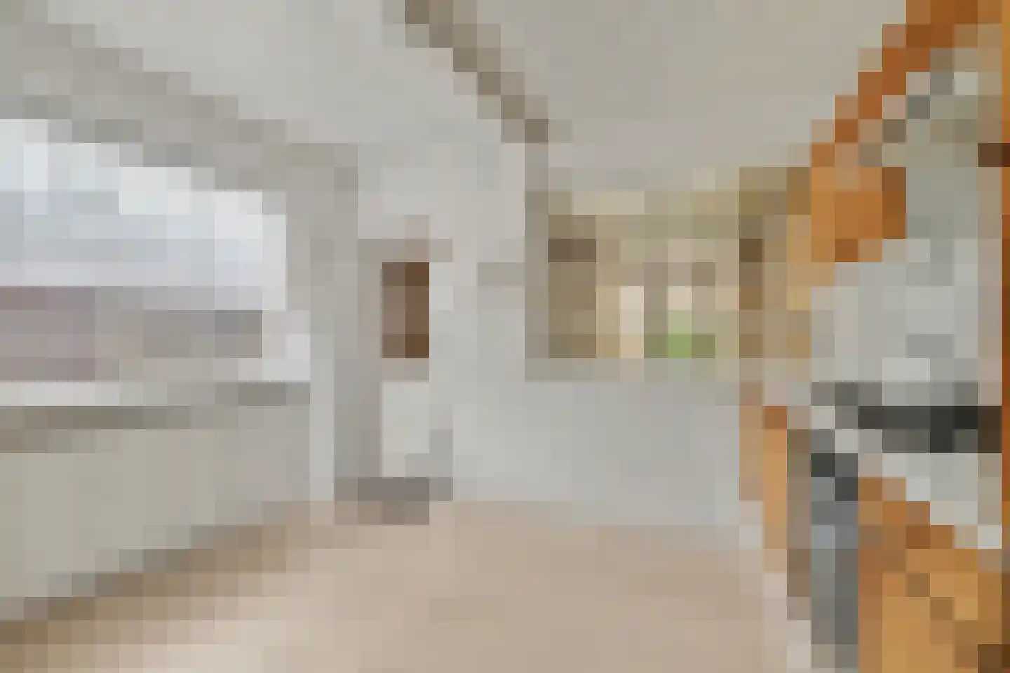Norbertijnerstraat 69 Elshout thumbnail 12