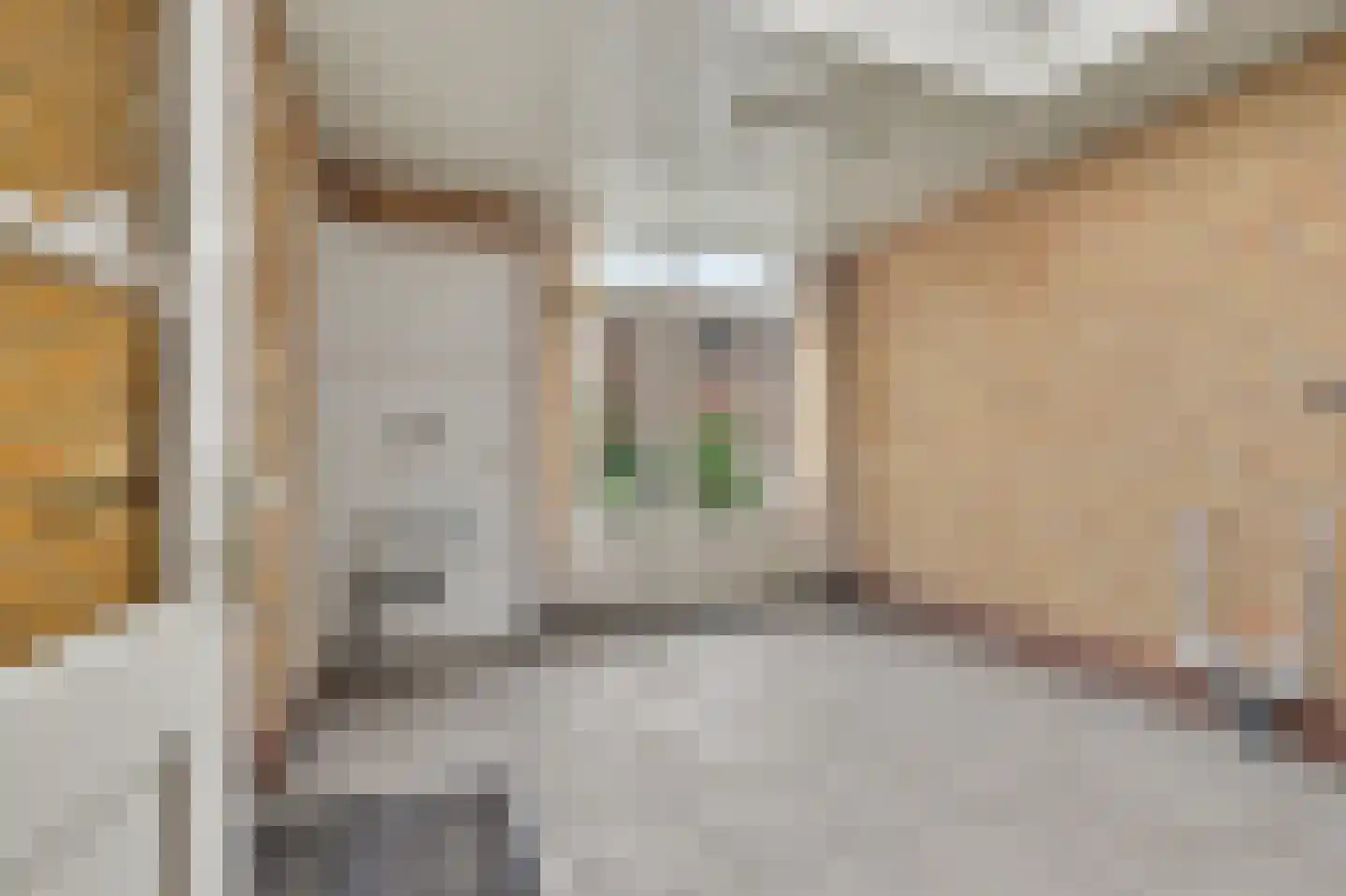 Norbertijnerstraat 69 Elshout thumbnail 15