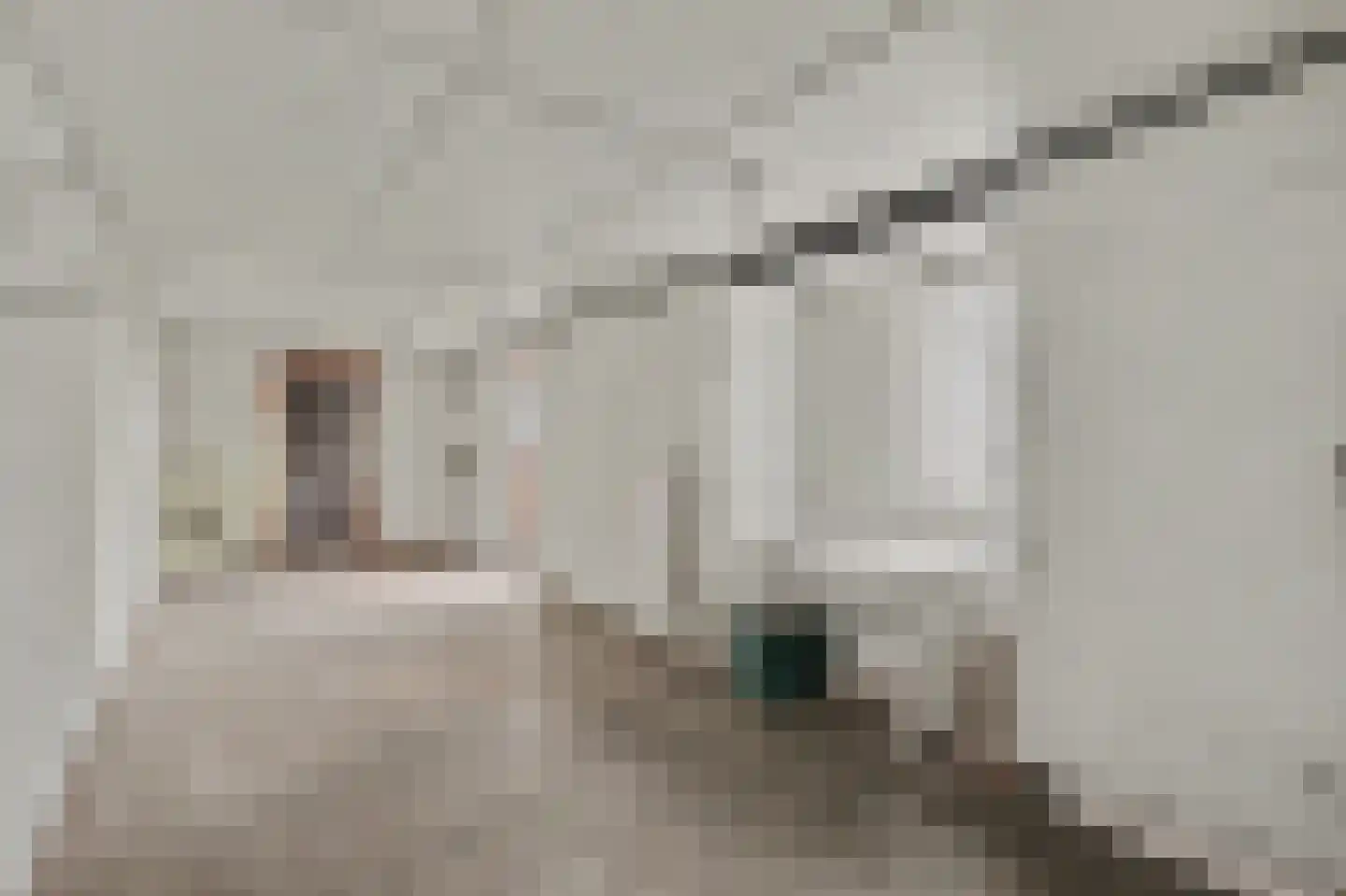 Norbertijnerstraat 69 Elshout thumbnail 41