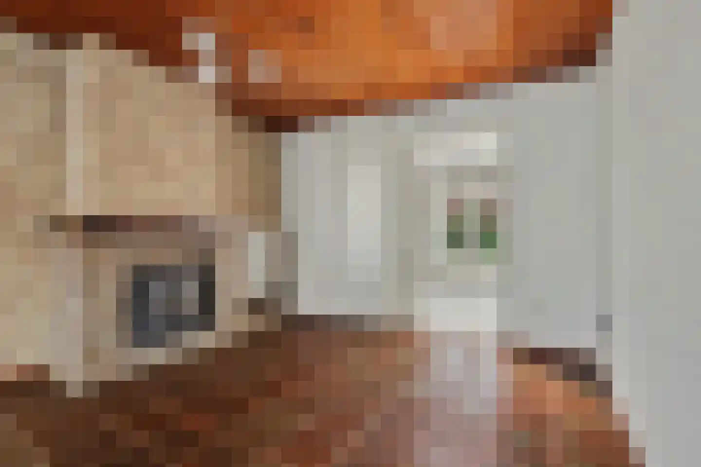 Norbertijnerstraat 69 Elshout thumbnail 6