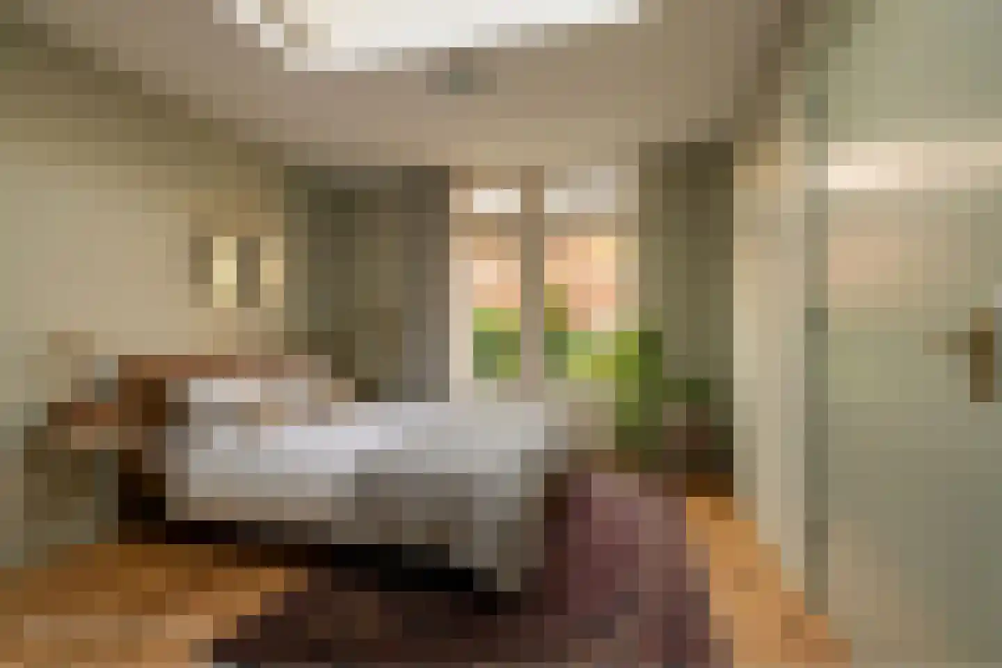 Norbertijnerstraat 69 Elshout thumbnail 8