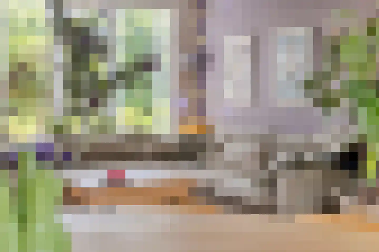 Norbertusdreef 16 Willemstad thumbnail 12