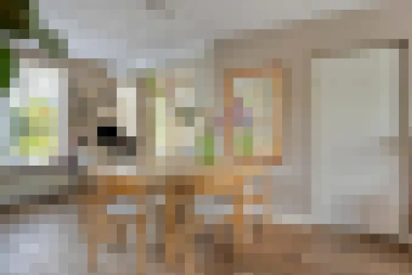 Norbertusdreef 16 Willemstad thumbnail 13